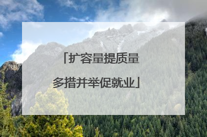 扩容量提质量 多措并举促就业