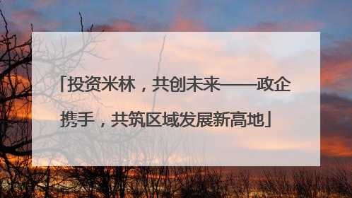 投资米林，共创未来——政企携手，共筑区域发展新高地
