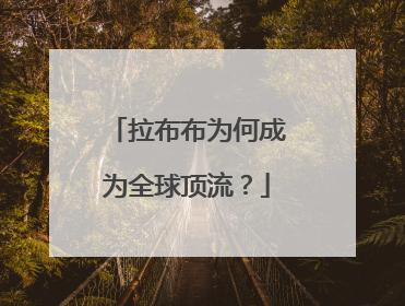 拉布布为何成为全球顶流？