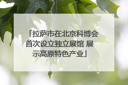 拉萨市在北京科博会首次设立独立展馆 展示高原特色产业