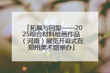 拓展与回望——2025综合材料绘画作品（河南）展览开幕式在郑州美术馆举办