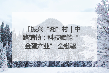 振兴“湘”村｜中路铺镇：科技赋能“金蛋产业” 全链驱动乡村振兴