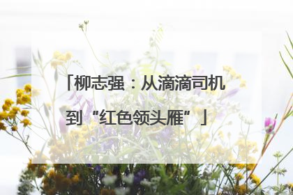 柳志强：从滴滴司机到“红色领头雁”