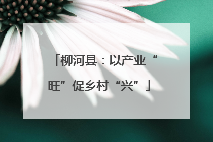柳河县：以产业“旺”促乡村“兴”