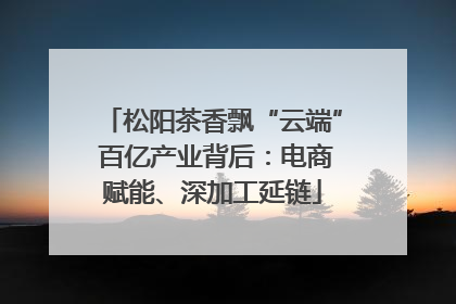 松阳茶香飘“云端” 百亿产业背后：电商赋能、深加工延链