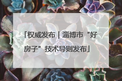 权威发布｜淄博市“好房子”技术导则发布