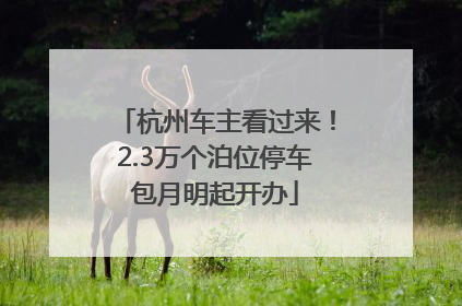 杭州车主看过来！2.3万个泊位停车包月明起开办