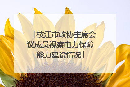 枝江市政协主席会议成员视察电力保障能力建设情况