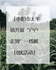 枣阳市太平镇开展“户户走到”一线解民忧活动