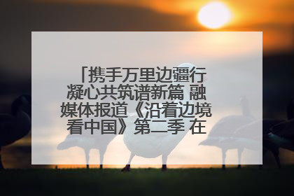 携手万里边疆行 凝心共筑谱新篇 融媒体报道《沿着边境看中国》第二季 在广西东兴正式启动