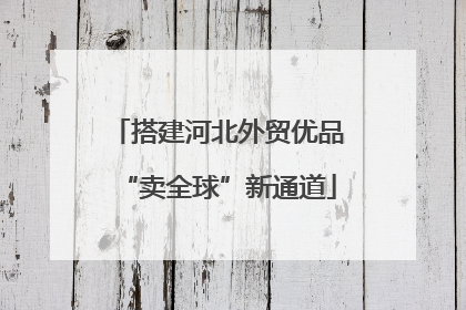 搭建河北外贸优品“卖全球”新通道