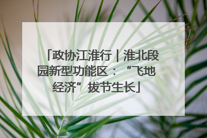 政协江淮行｜淮北段园新型功能区：“飞地经济”拔节生长