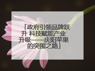 政府引领品牌跃升 科技赋能产业升级——庆阳苹果的突围之路