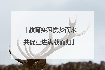 教育实习携梦而来 共促互进满载而归