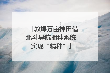 敦煌万亩棉田借北斗导航播种系统实现“精种”