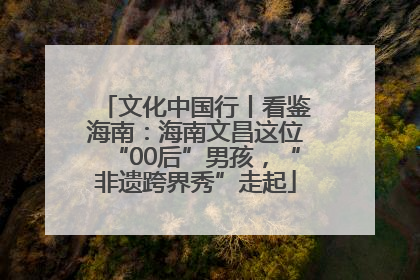 文化中国行丨看鉴海南：海南文昌这位“00后”男孩，“非遗跨界秀”走起