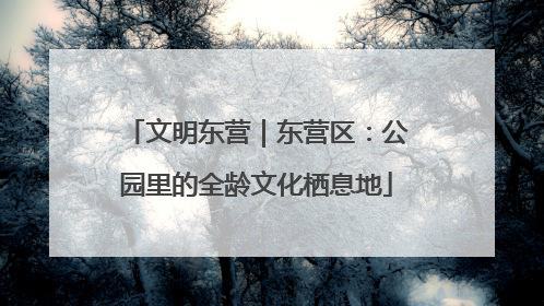 文明东营｜东营区：公园里的全龄文化栖息地