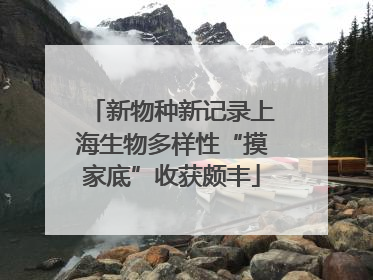 新物种新记录上海生物多样性“摸家底”收获颇丰