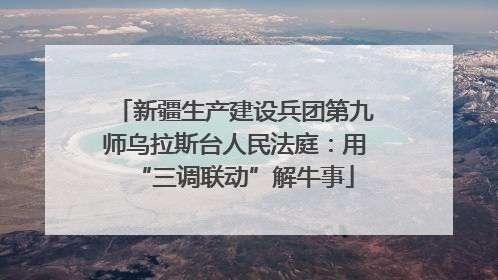 新疆生产建设兵团第九师乌拉斯台人民法庭：用“三调联动”解牛事