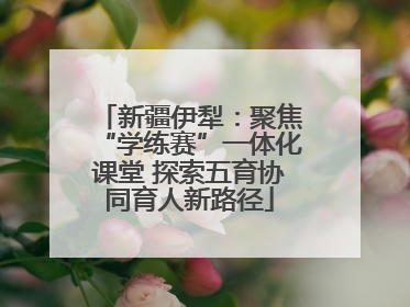 新疆伊犁：聚焦“学练赛”一体化课堂 探索五育协同育人新路径