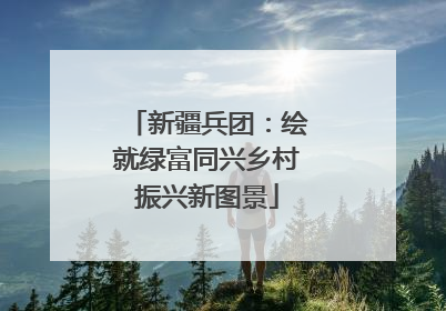 新疆兵团：绘就绿富同兴乡村振兴新图景