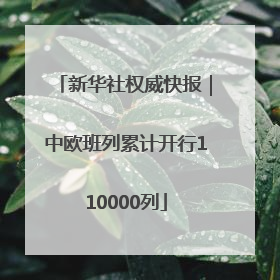 新华社权威快报｜中欧班列累计开行110000列