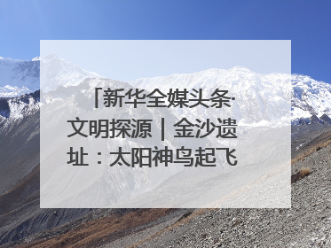 新华全媒头条·文明探源｜金沙遗址：太阳神鸟起飞的地方（10）