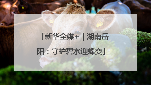 新华全媒+|湖南岳阳:守护碧水迎蝶变