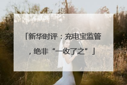 新华时评：充电宝监管，绝非“一收了之”