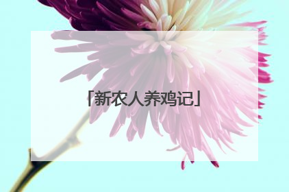 新农人养鸡记