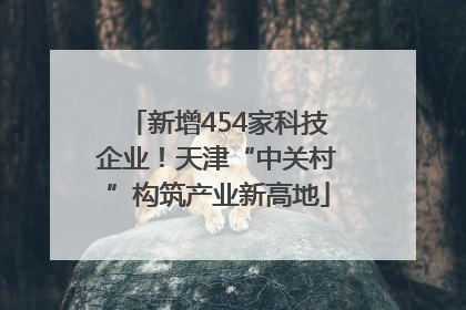 新增454家科技企业！天津“中关村”构筑产业新高地