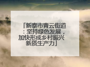 新泰市青云街道：坚持绿色发展，加快形成乡村振兴新质生产力
