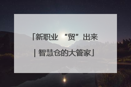 新职业 “贸”出来｜智慧仓的大管家