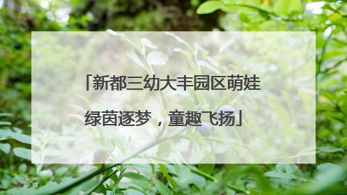 新都三幼大丰园区萌娃绿茵逐梦，童趣飞扬
