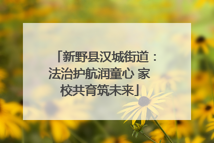 新野县汉城街道：法治护航润童心 家校共育筑未来