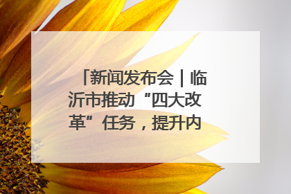 新闻发布会｜临沂市推动“四大改革”任务，提升内部审计监督效能