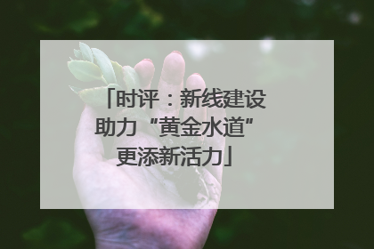 时评：新线建设助力“黄金水道”更添新活力
