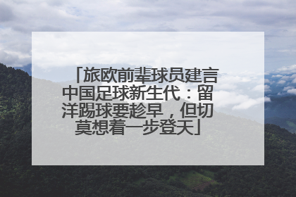 旅欧前辈球员建言中国足球新生代：留洋踢球要趁早，但切莫想着一步登天