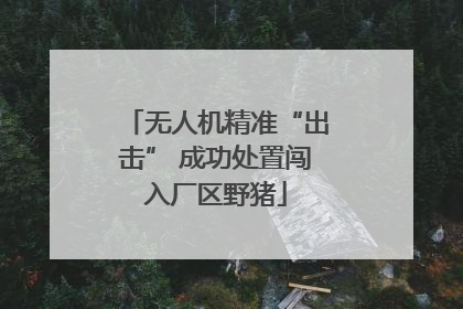 无人机精准“出击” 成功处置闯入厂区野猪