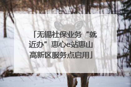 无锡社保业务“就近办”惠心e站惠山高新区服务点启用