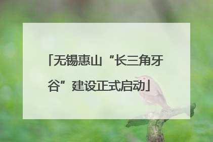 无锡惠山“长三角牙谷”建设正式启动