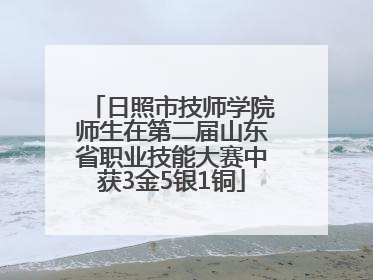 日照市技师学院师生在第二届山东省职业技能大赛中获3金5银1铜