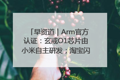 早资道｜Arm官方认证：玄戒O1芯片由小米自主研发；淘宝闪购联合饿了么日订单超4000万