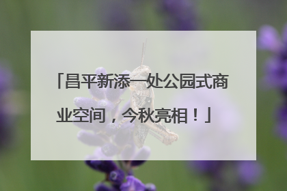 昌平新添一处公园式商业空间，今秋亮相！