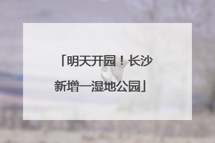 明天开园！长沙新增一湿地公园