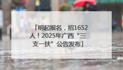 明起报名，招1652人！2025年广西“三支一扶”公告发布