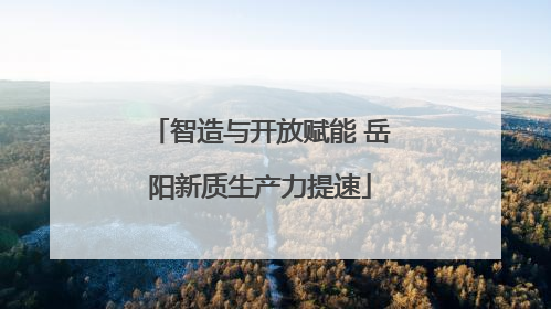 智造与开放赋能 岳阳新质生产力提速