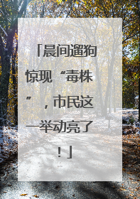 晨间遛狗惊现“毒株”，市民这一举动亮了！