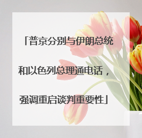 普京分别与伊朗总统和以色列总理通电话，强调重启谈判重要性