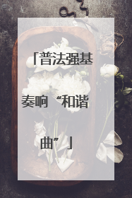 普法强基奏响“和谐曲”